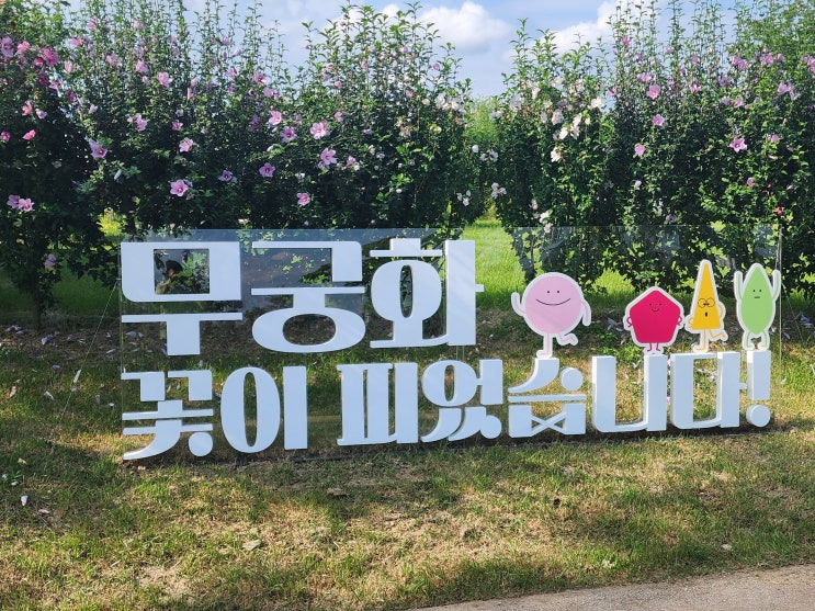 <b>무궁화</b> 보러 가요~ <b>광복절</b> 맞아 전국 곳곳 <b>무궁화</b> 축제 개최