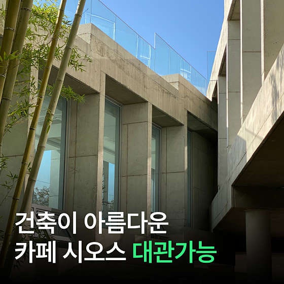 사진 2