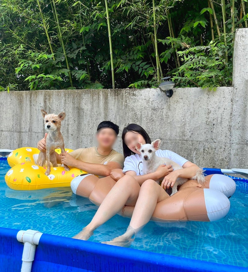 사진 4