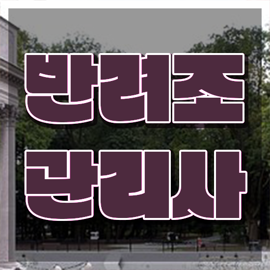  모란앵무분양 , 반려조관리사 자격증 합격한 후기 공유드려요