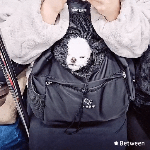  24년 2월 네번째 일상 기록