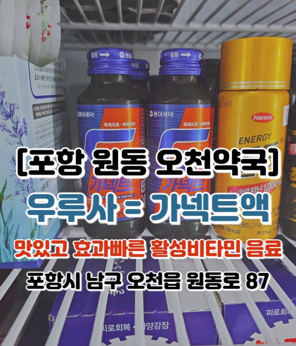  [포항 원동 오천약국] 가넥트 약국음료추천-약국피로회복제-숙취해소제 ; 마시는 우루사, 비타민 음료, 피로회복에 효과적!