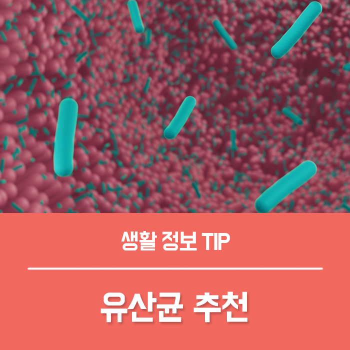  유산균 추천 기준 프로바이오틱스 유산균 역할!