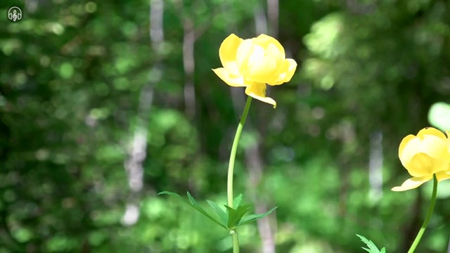  부동산자산관리전문가 무료 강의 , 부동산자산관리사 자격증 직장인도 쉽게 준비한 과정 여기서 확인하세요