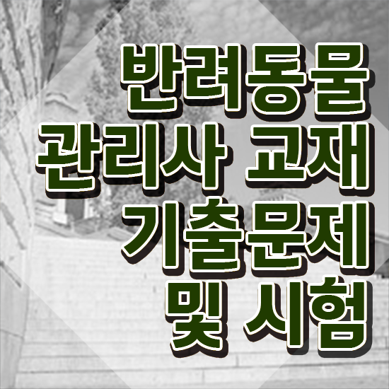  반려동물 탈취제 , 반려동물관리사 자격증 취득했던 후기 전격분석