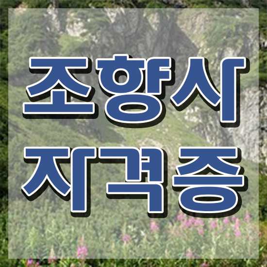  주부 자격증 추천 , 조향사 온라인 과정만으로 완료한 꿀팁 모음