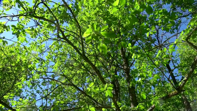  부동산 책 추천 , 부동산권리분석사 중년 직장인도 빠르게 완료한 후기