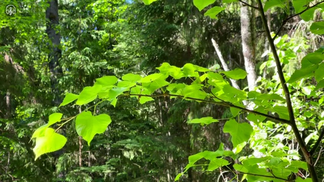  부동산자산관리전문가 분석가 , 부동산자산관리사 자격증 온라인으로 간단히 합격한 후기 여기만 보세요