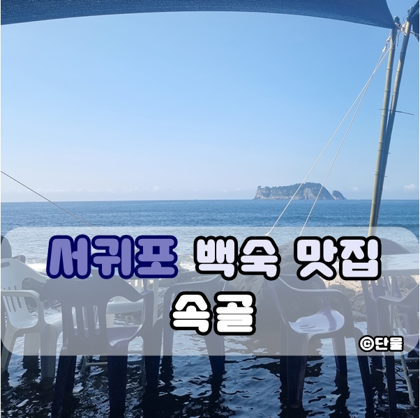  제주도 서귀포 속골 유원지 백숙 웨이팅 후기, 꿀팁