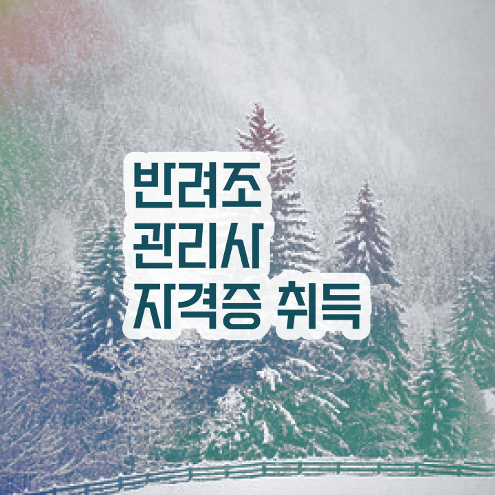  인천앵무새분양 , 반려조관리사 자격증 합격한 전략 공유드려요