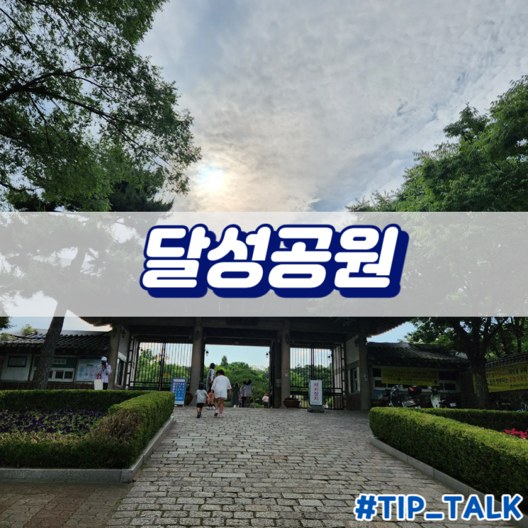  대구 가볼만한 곳 데이트 장소 추천 달성공원 동물원