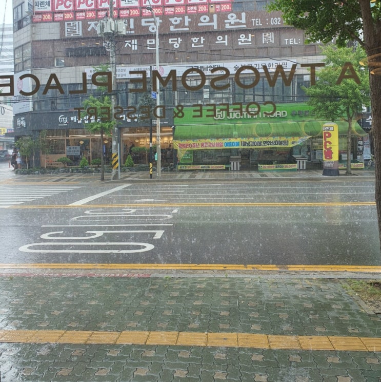  투썸에서 소나기 구경
