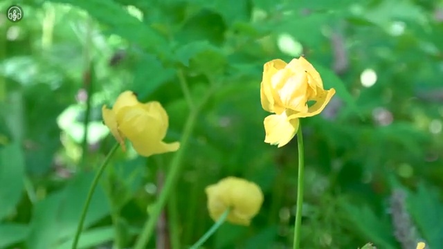  사주 풀이 , 명리심리상담사자격증 합격 후기 및 일자리 전망