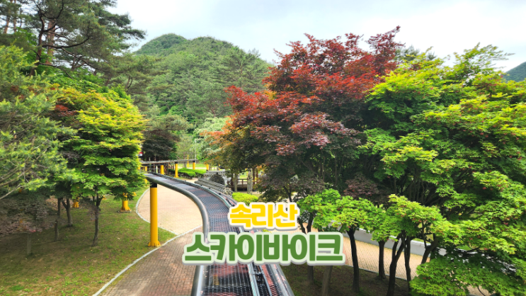  보은 속리산 솔향공원 스카이바이크