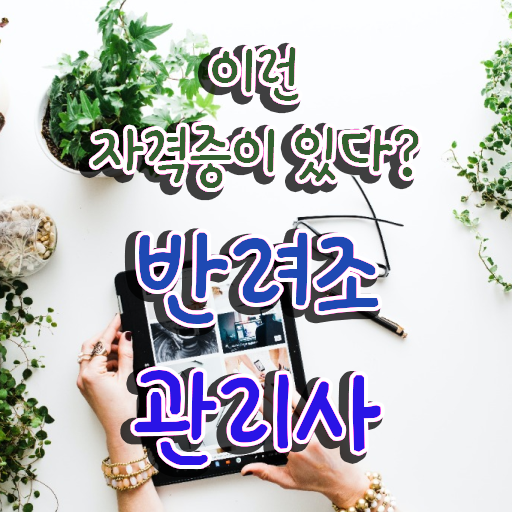  앵무새 카페 , 반려조관리사 자격증 직장인도 쉽게 준비한 방법 알아볼까요