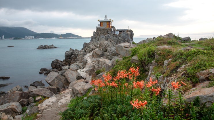 <b>부산</b>여행/오랑대/광안대교<b>해무</b>/죽성드림세트장/태종대 태종사