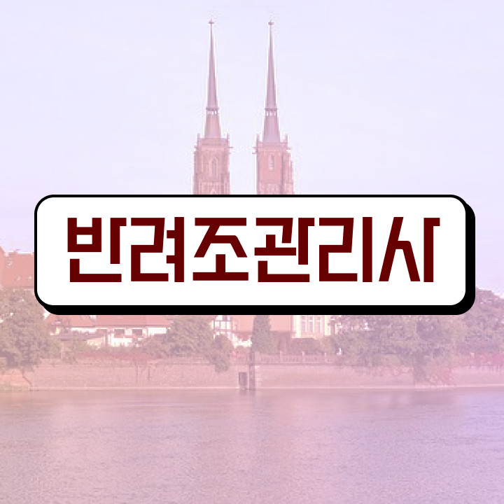  코뉴어앵무새가격 , 반려조관리사 자격증 직장인도 쉽게 합격한 전략 보고가세요