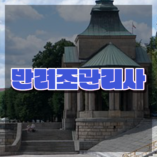  말하는 앵무새 종류 , 반려조관리사 자격증 취득했던 후기 보고가세요