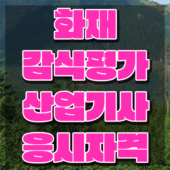  화재감식평가기사 화재감식평가기사 취득자격 온라인 과정으로 1학기 만에 성공한 전략