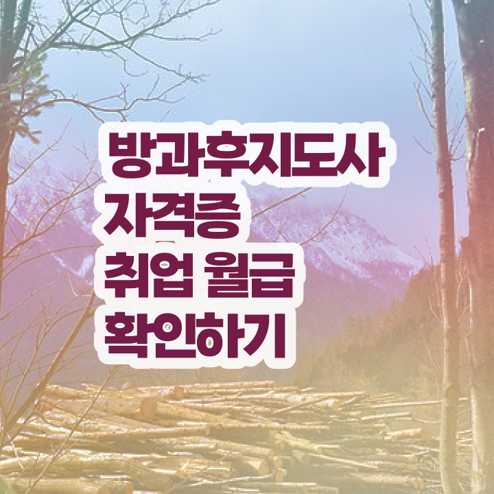  유치원방과후교사면접 , 방과후지도사 준비한 방법 및 학습방법