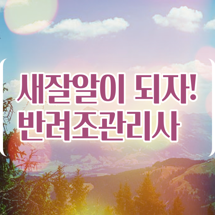  왕관앵무새 분양 , 반려조관리사 자격증 합격한 비법 알려드려요
