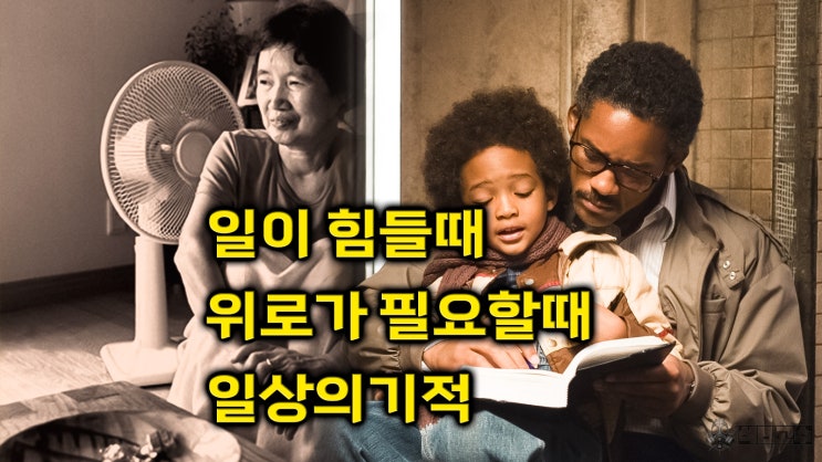  일이 힘들때 위로가 되고 힘이되는 글귀 박완서 선생님의 일상의 기적