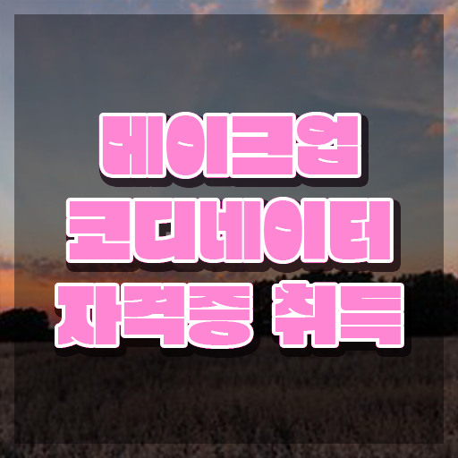 메이크업아티스트 , 메이크업코디네이터 자격증 취득한 과정 핵심 정보 정리