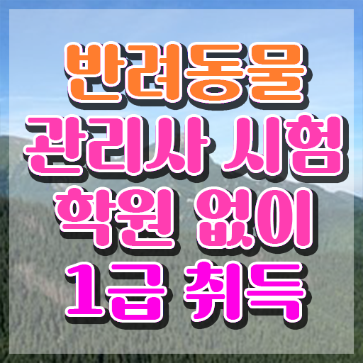  반려동물관리사일정 , 반려동물관리사 자격증 온라인으로 간단히 준비한 과정 및 구직정보
