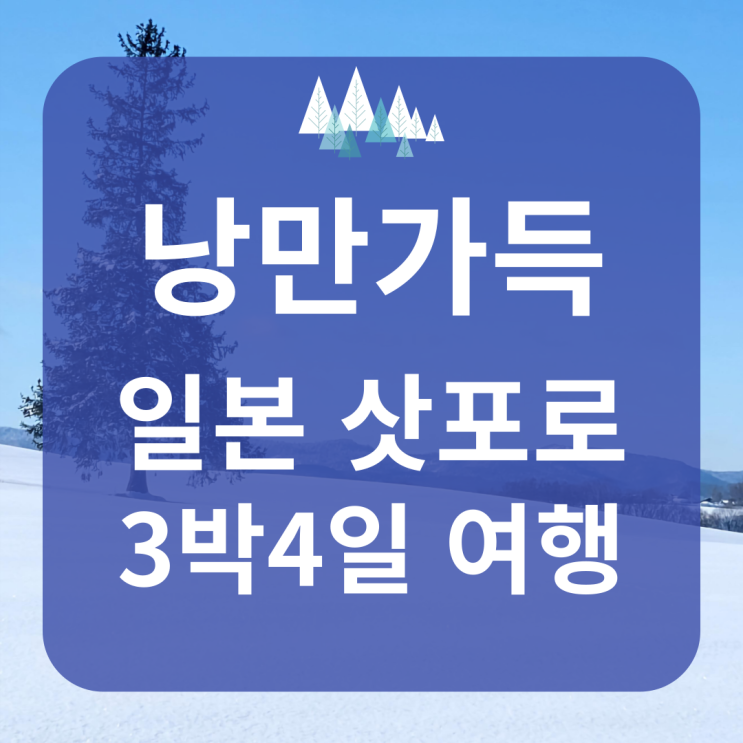  일본 북해도 3박4일 여행 일정 추천(임산부, 부모님 모시고 가기에 좋은 코스)