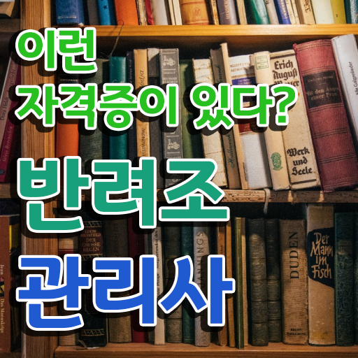  모란앵무 입질 , 반려조관리사 자격증 쉽고 간편하게 취득한 과정 확인하세요