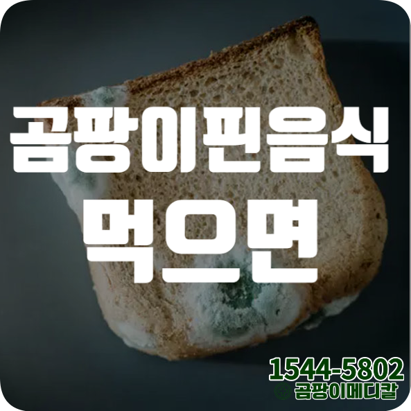 곰팡이 핀 음식 먹으면 복숭아 마늘 처리 쓰레기