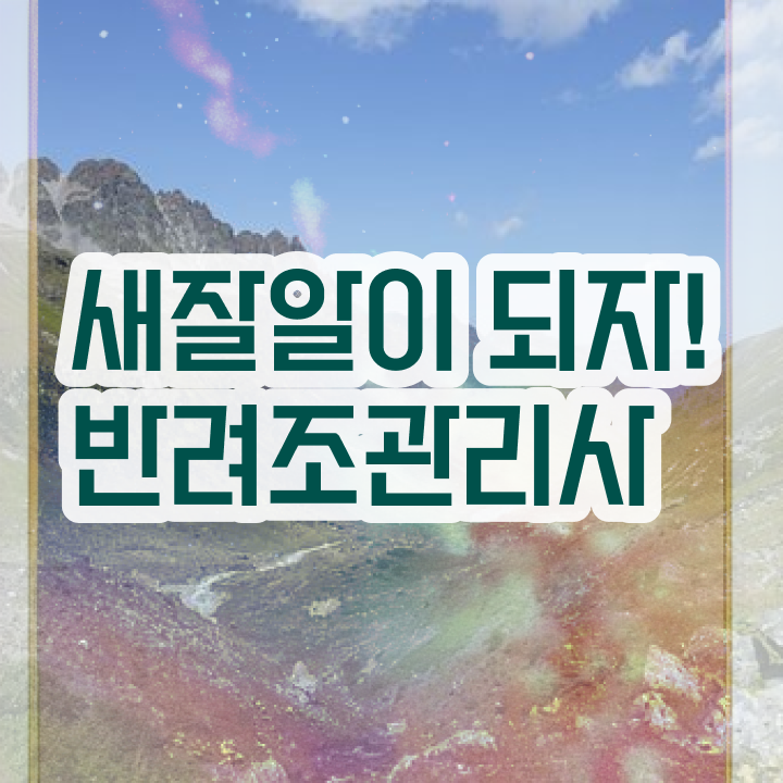  광주 앵무새 분양 , 반려조관리사 자격증 온라인으로 취득한 과정 , 구직정보
