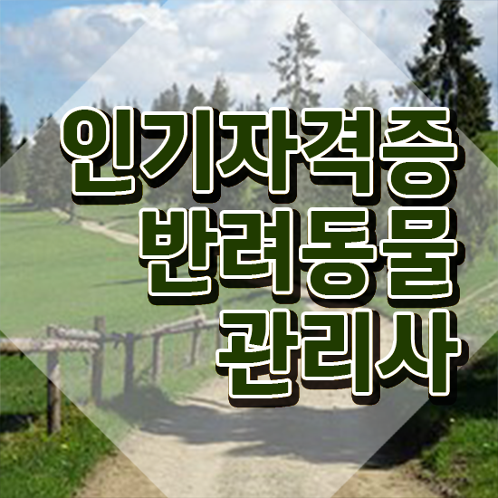  반려동물 관련학과 , 반려동물관리사 자격증 쉽고 간편하게 합격한 팁 및 취업 전망
