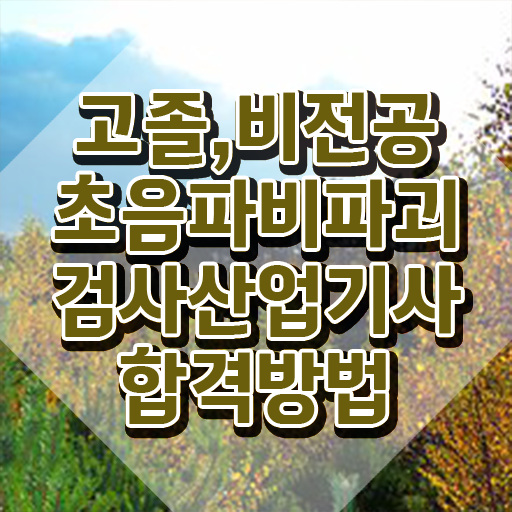  초음파비파괴검사산업기사 시험자격 온라인 과정으로 4달 안에 성공한 노하우