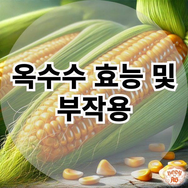  옥수수 먹기 전에 꼭 알아야 할 효능 및 부작용