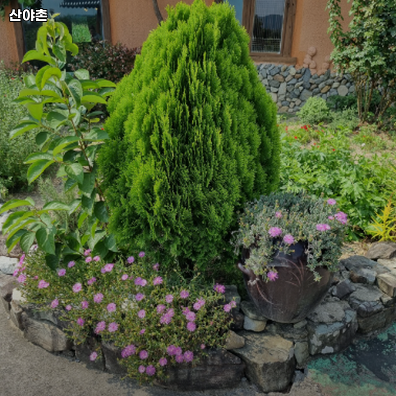 산야촌
