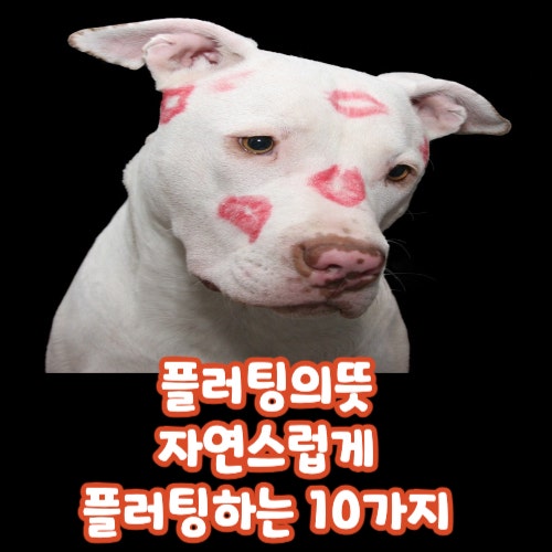  플러팅의뜻 자연스럽게 플러팅하는 10가지 방법