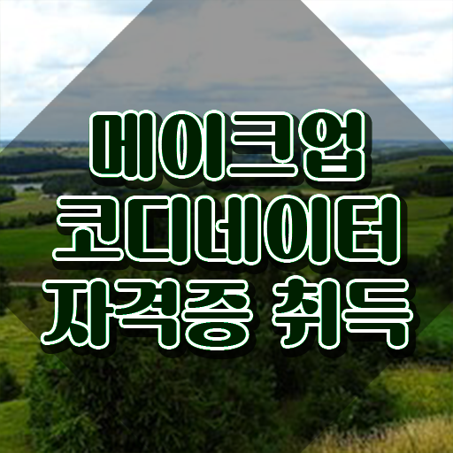  메이크업 아티스트 자격증 , 메이크업코디네이터 자격증 온라인 교육으로 취득했던 후기 및 전망