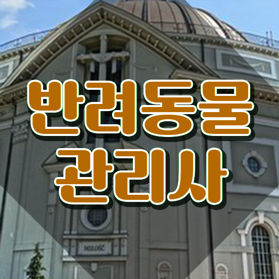 반려동물학과 대학 , 반려동물관리사 자격증 합격한 비법 필수 정보