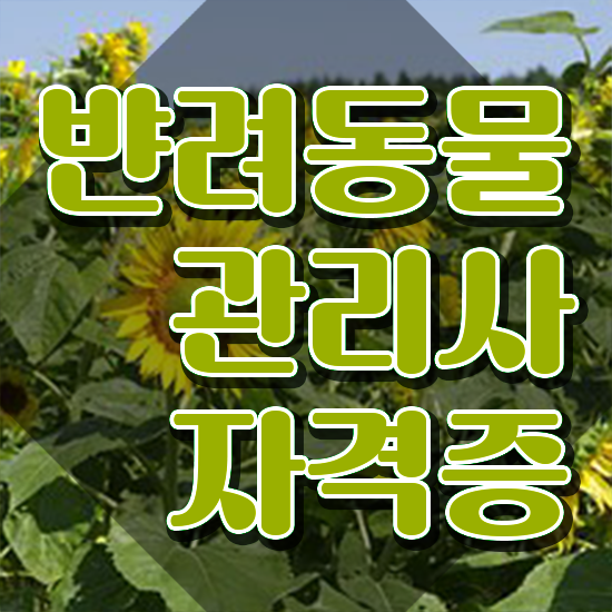  서울 반려동물 의료비 지원 , 반려동물관리사 자격증 단기간에 합격한 팁 궁금하셨다면