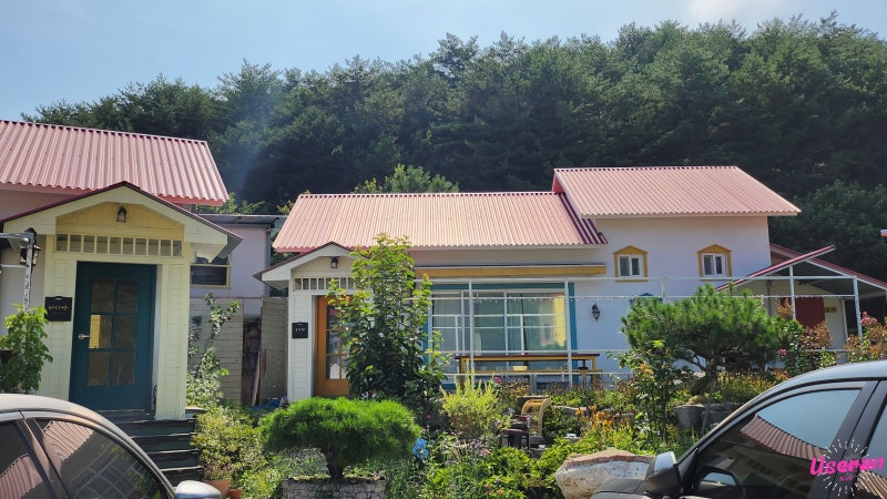 사진 6