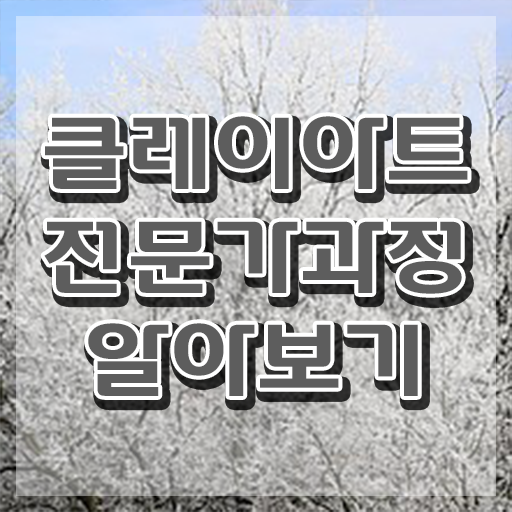  클레이아트만들기 , 클레이아트전문가 자격증 한달 만에 취득한 과정 , 고용 전망