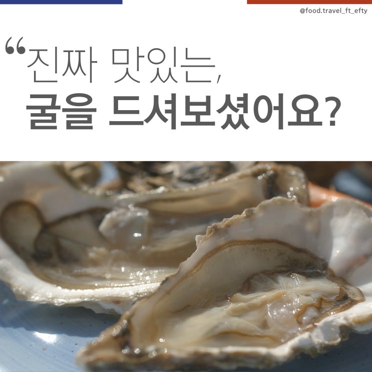  진짜 맛있는, 굴을 드셔보셨어요?