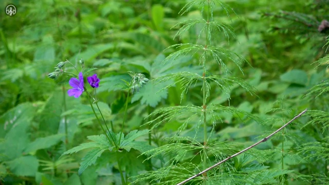  브랜드마케팅자격증 , 마케팅기획전문가 자격증 합격한 전략 알아보기
