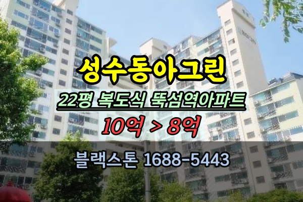 성수동 동아그린 22평 경매 뚝섬역아파트 추천매물 복도식