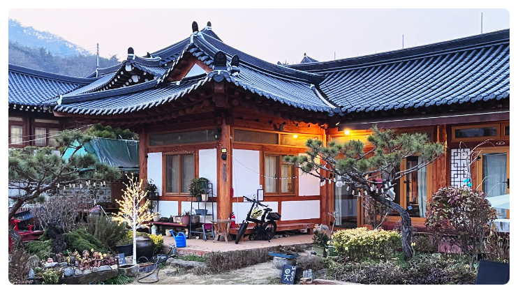 사진 5