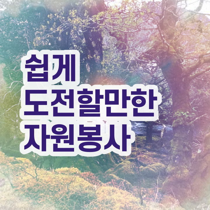  자원 봉사시간 , 자원봉사지도사 자격증 독학으로 취득한 과정 정보 모두 드려요