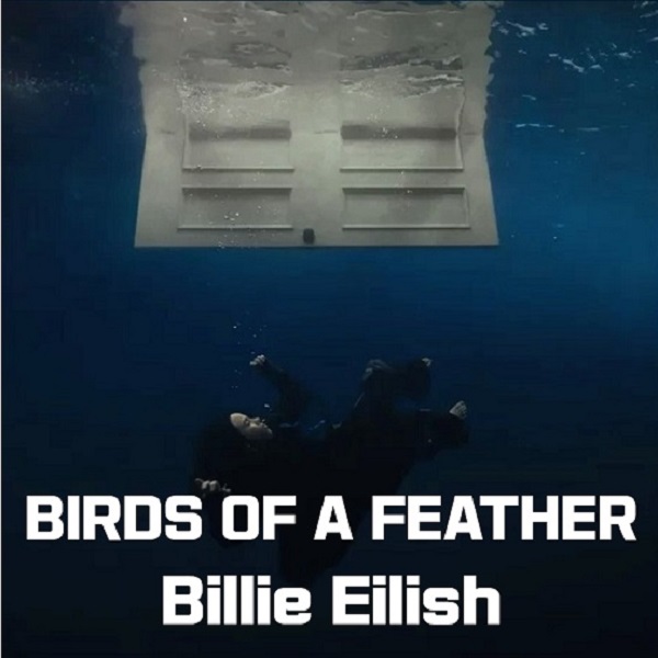 BIRDS OF A FEATHER 가사 해석 번역 Billie Eilish 빌리 아일리시 사랑 팝송 추천 사랑노래 버즈오브어페더 뮤비 곡정보 BIRDS OF A FEATHER 가사 해석 번역 Billie Eilish 빌리 아일리시 사랑 팝송 추천 사랑노래 버즈오브어페더 뮤비 곡정보