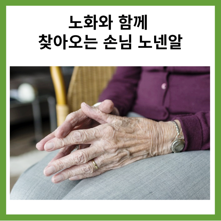  노화와 함께 찾아오는 손님 노넨알