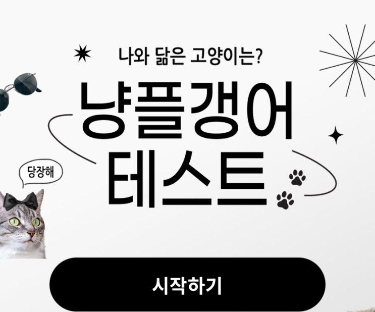 냥플갱어 테스트, 나와 닮은 고앙이는 어떤 고양이일지 알아보기!